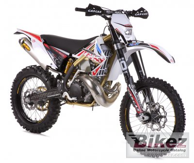 2011 GAS GAS EC 300 Nambotin photo